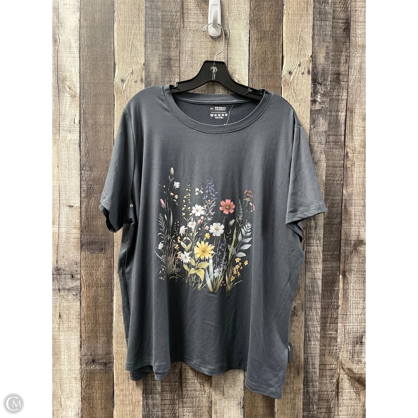 Top Short Sleeve By Cmf In Grey, Size: 3x