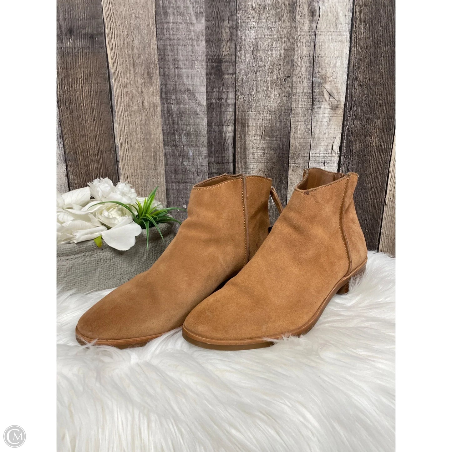 Boots Ankle Heels By Dolce Vita In Tan, Size: 11