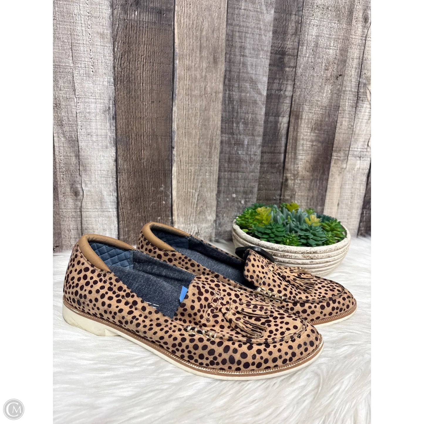 Shoes Flats By Dr Scholls In Animal Print, Size: 8