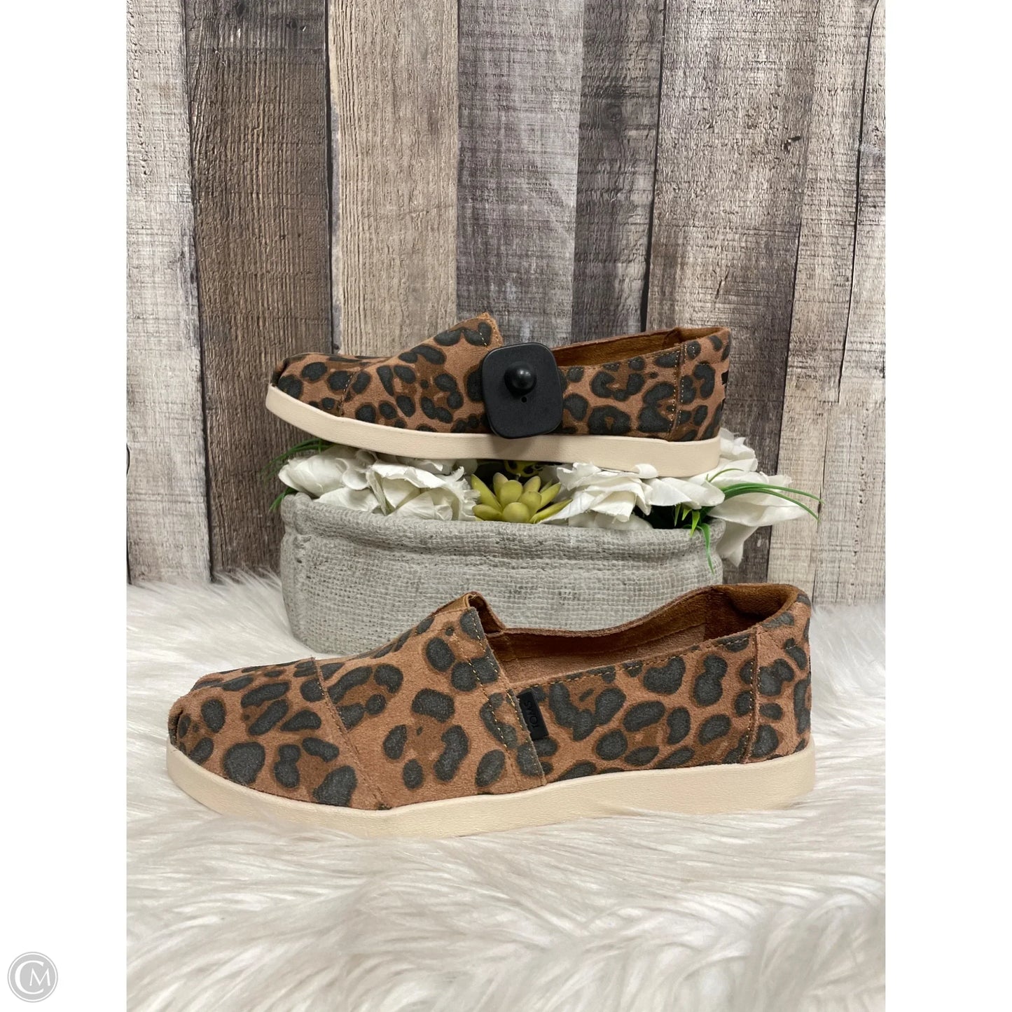 Shoes Flats By Toms In Animal Print, Size: 6.5