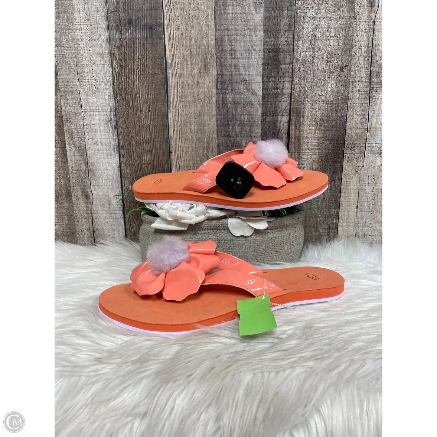 Sandals Designer By Ugg In Pink, Size: 12