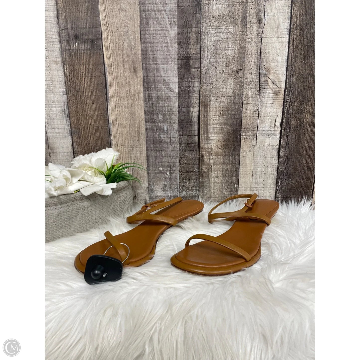 Sandals Heels Kitten By Vince In Brown