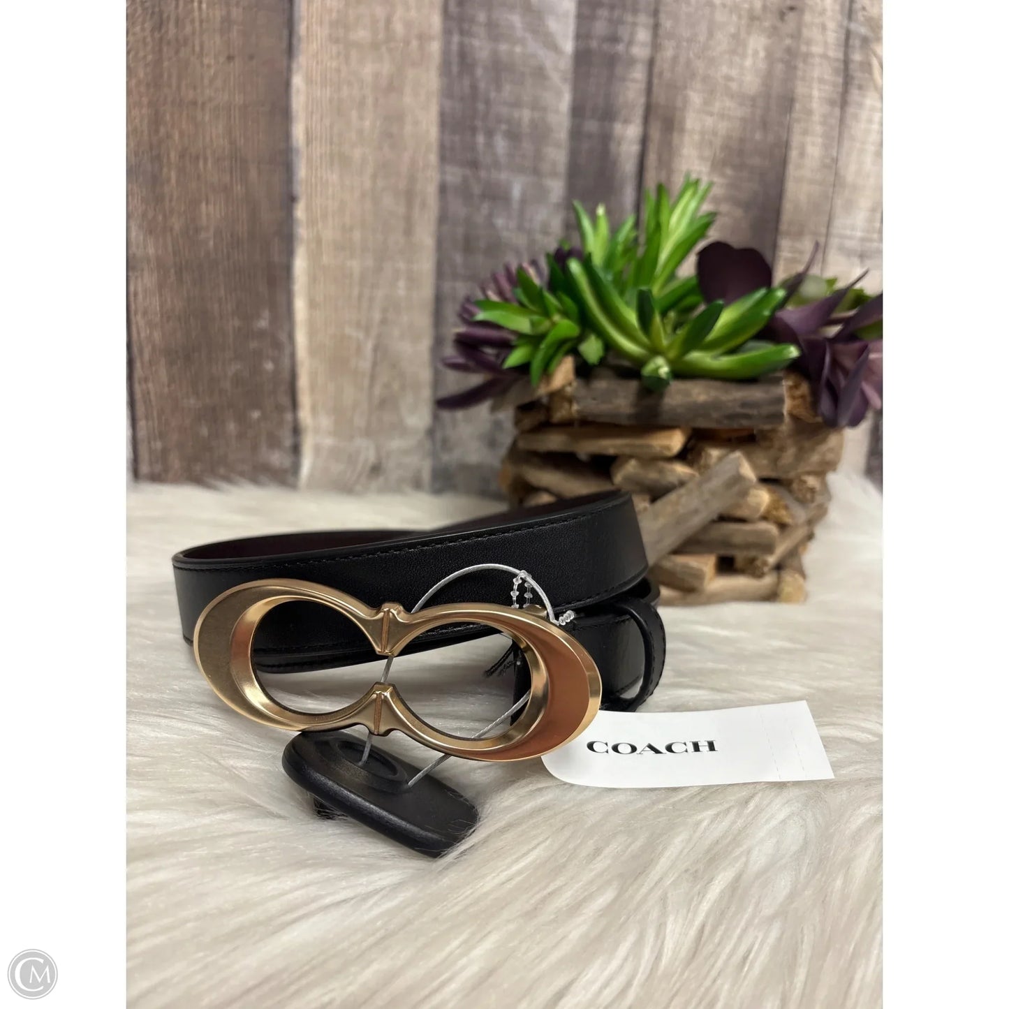 Belt Designer By Coach, Size: Small