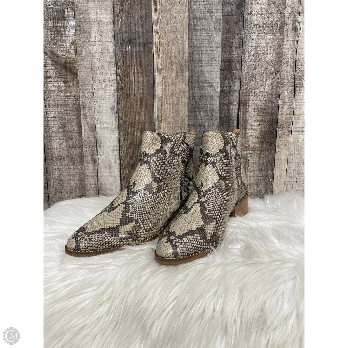 Boots Ankle Heels By Lucky Brand In Snakeskin Print, Size: 11