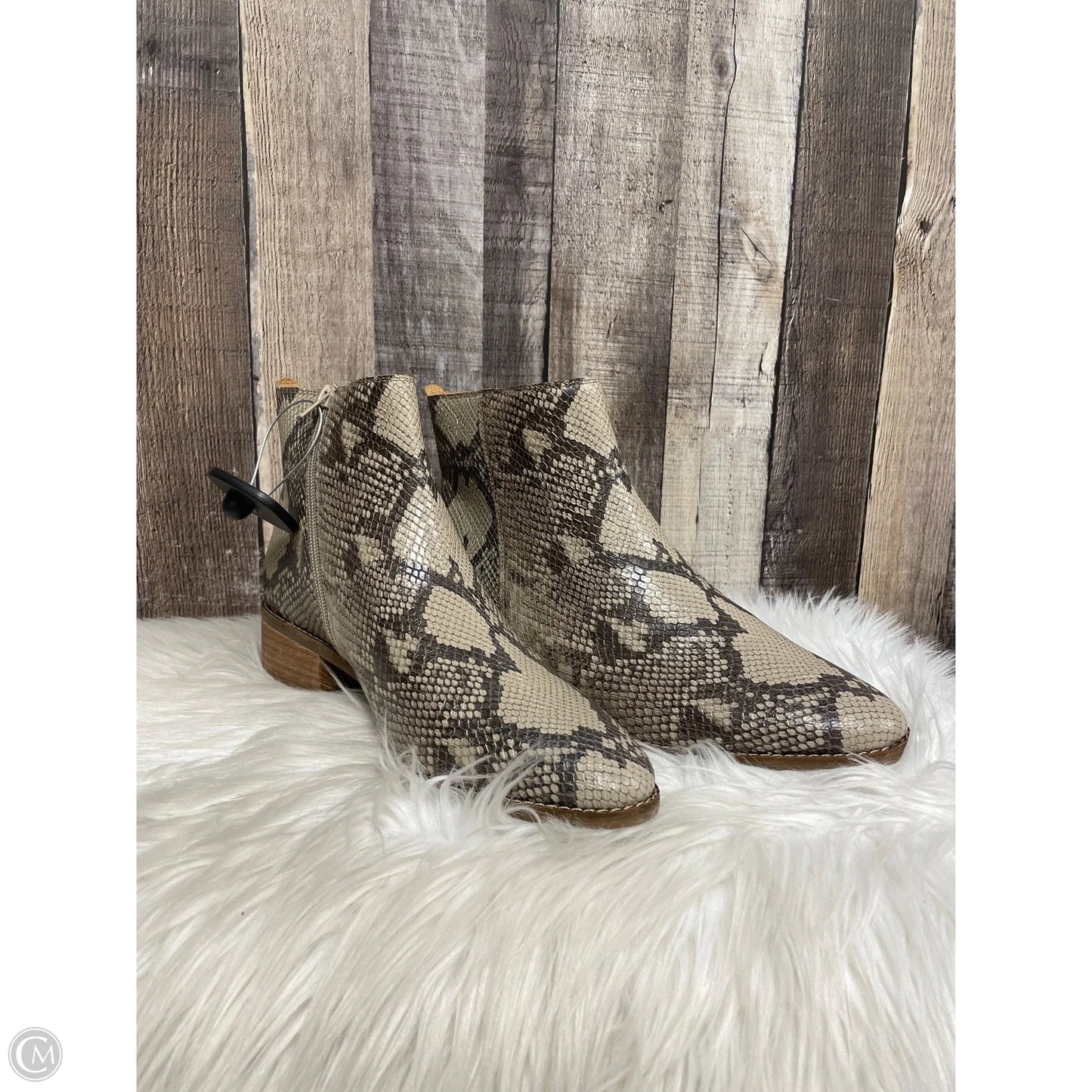 Boots Ankle Heels By Lucky Brand In Snakeskin Print, Size: 11