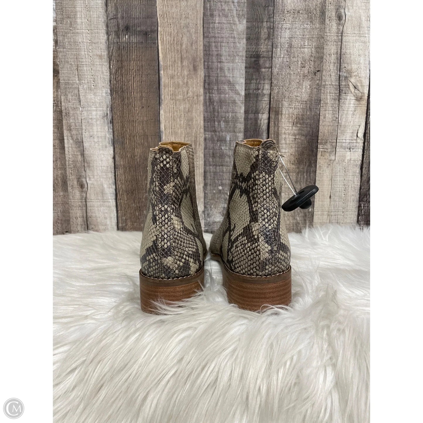 Boots Ankle Heels By Lucky Brand In Snakeskin Print, Size: 11