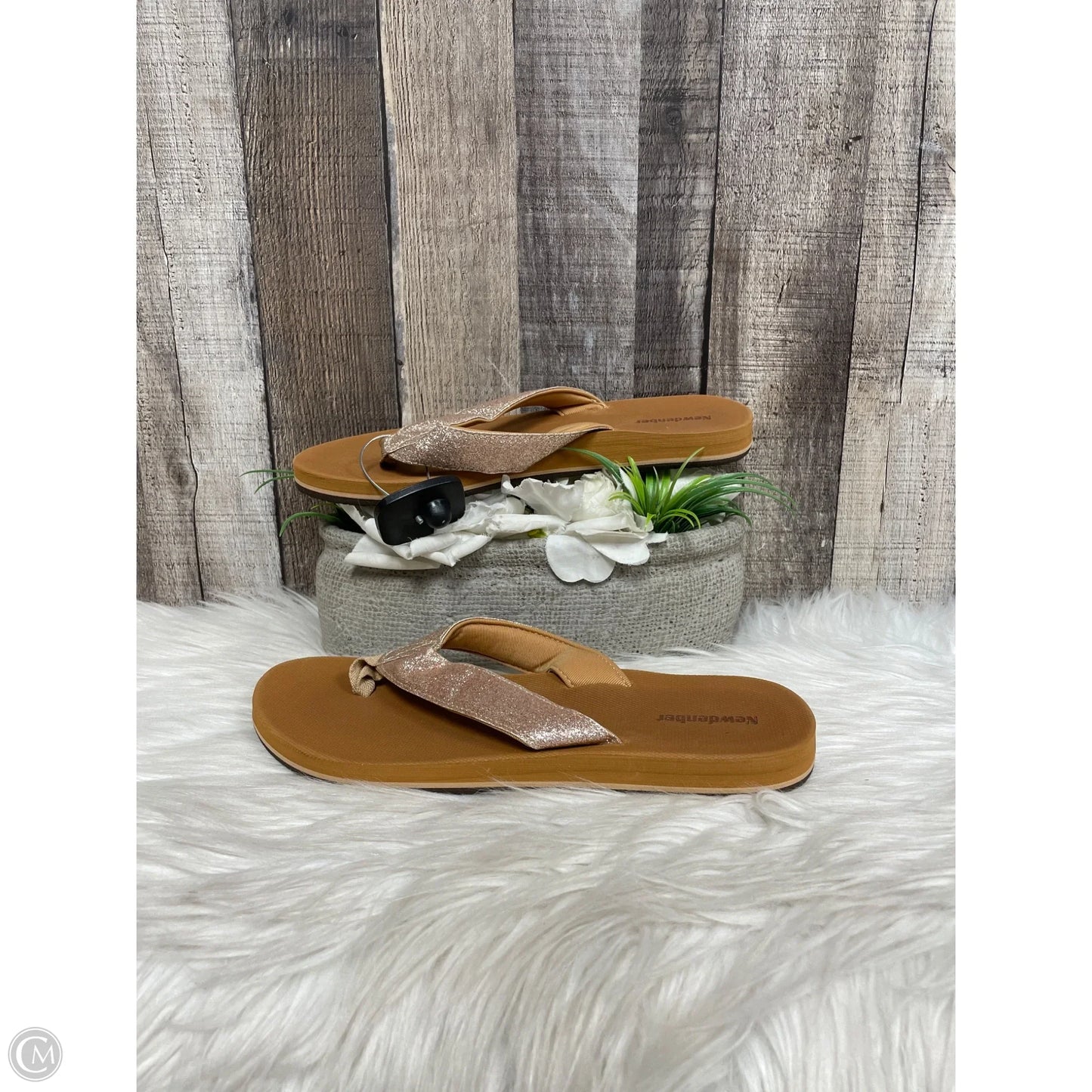Sandals Flats By Cme In Brown, Size: 9.5