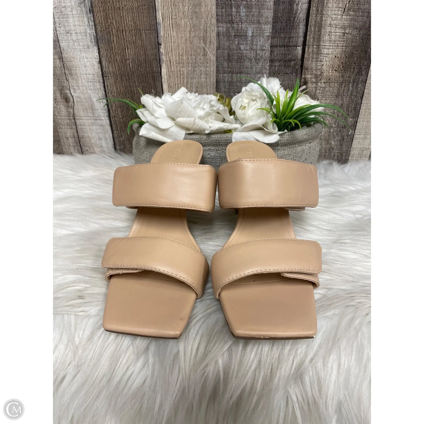 Shoes Heels Kitten By Open Edit In Tan, Size: 7