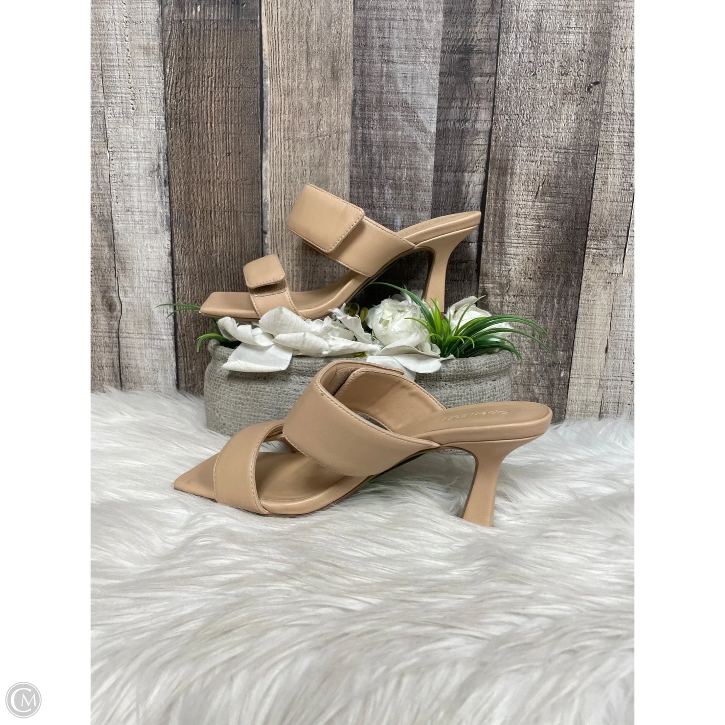 Shoes Heels Kitten By Open Edit In Tan, Size: 7