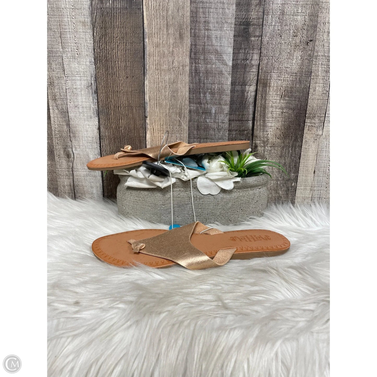Sandals Flats By Cme In Copper, Size: 9
