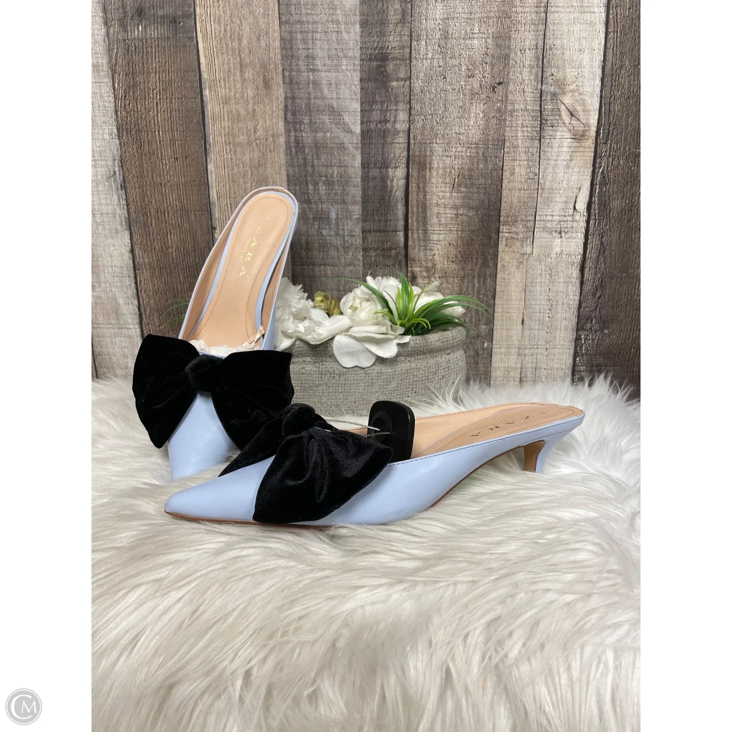 Shoes Heels Kitten By Zara In Blue, Size: 8