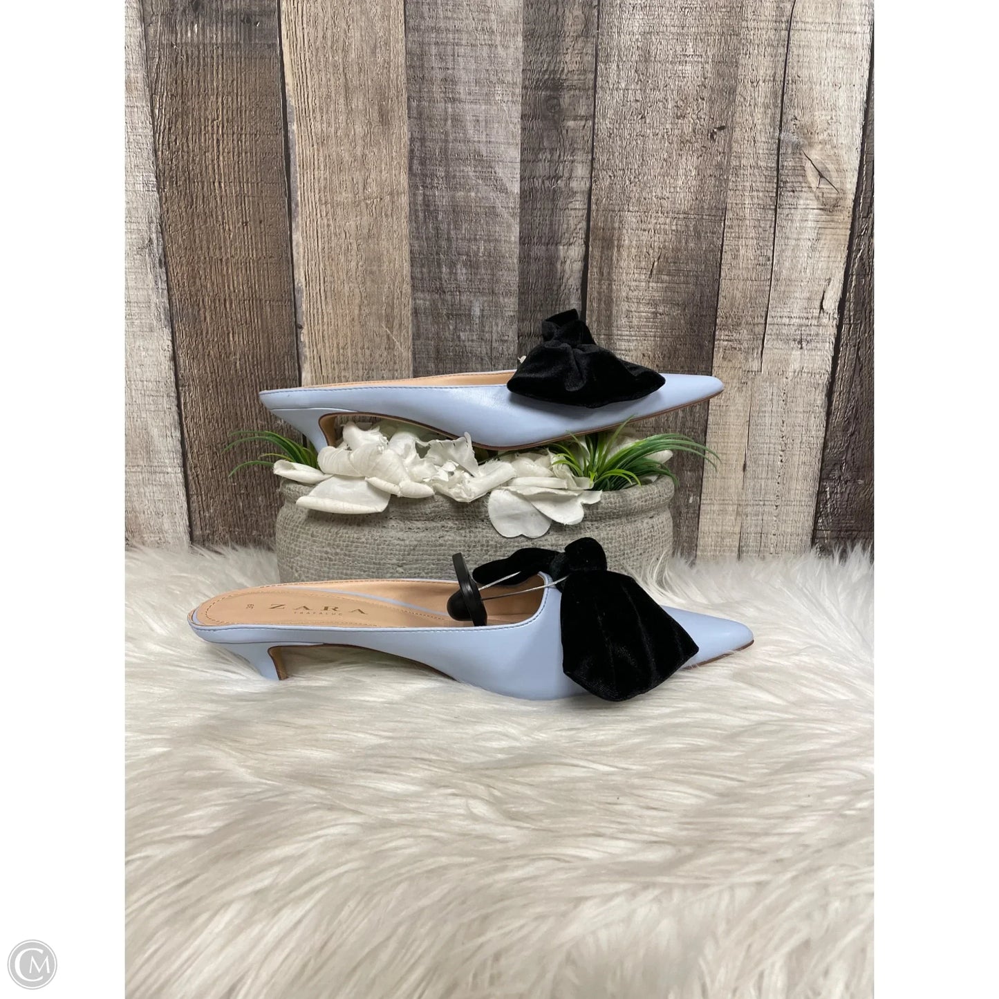 Shoes Heels Kitten By Zara In Blue, Size: 8