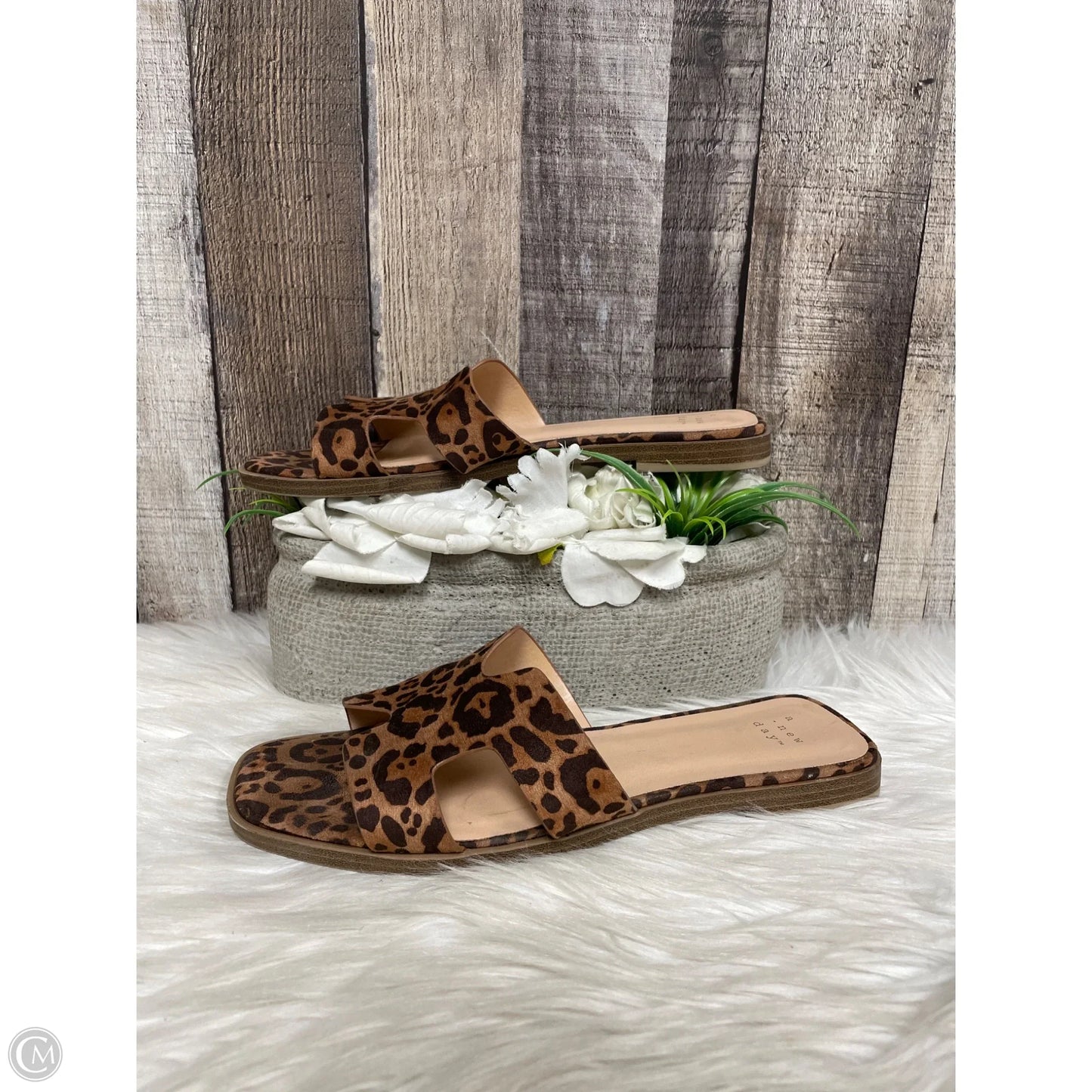Sandals Flats By A New Day In Animal Print, Size: 7