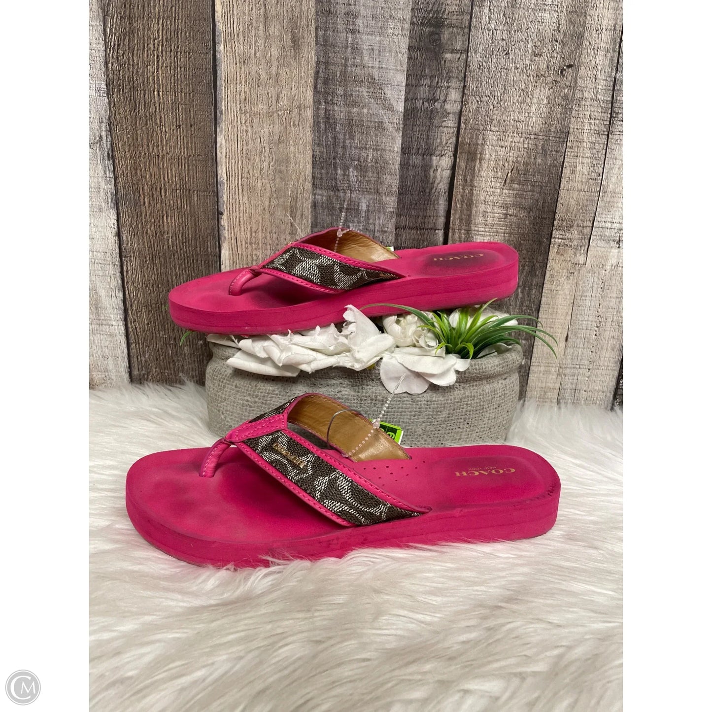 Sandals Designer By Coach In Pink, Size: 9