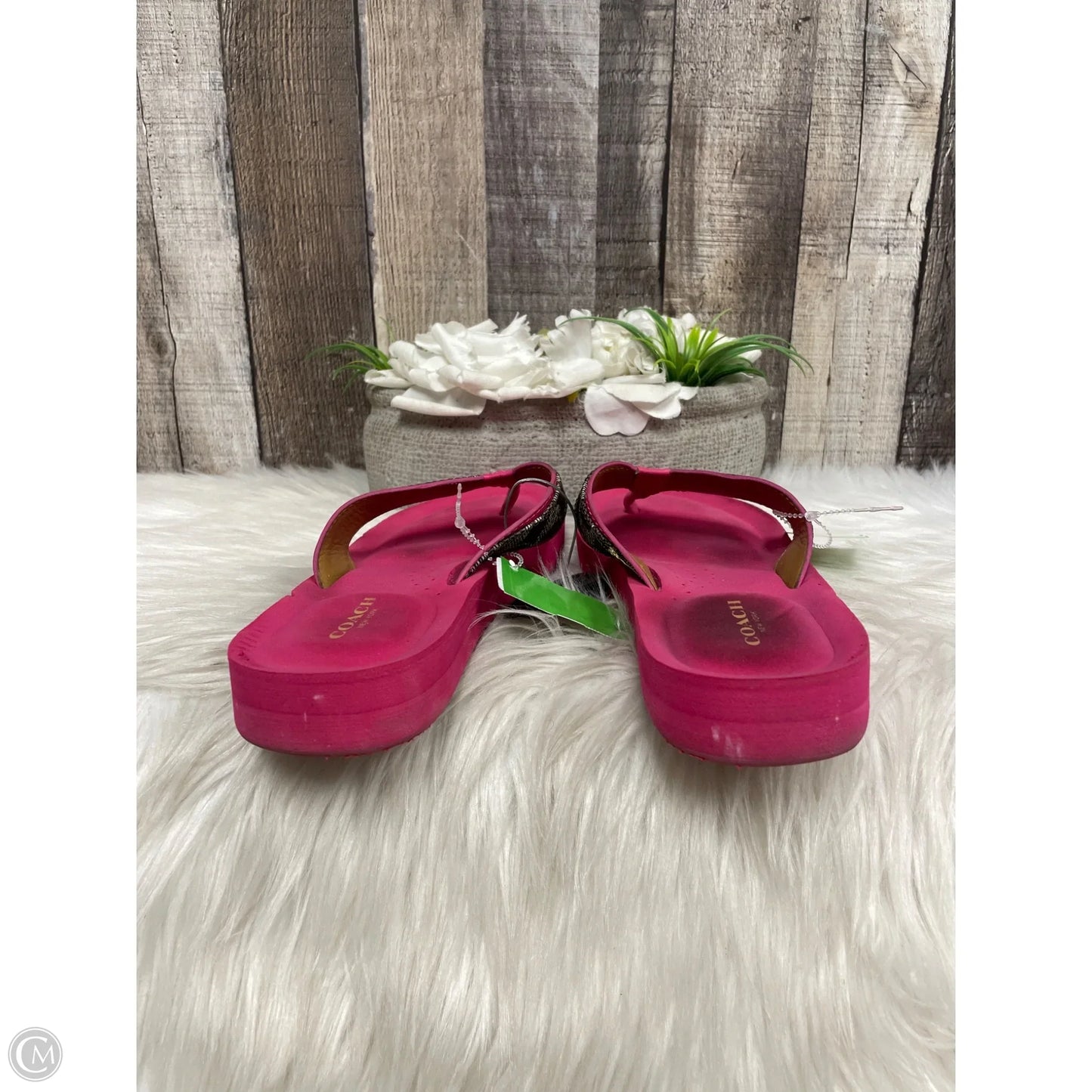 Sandals Designer By Coach In Pink, Size: 9