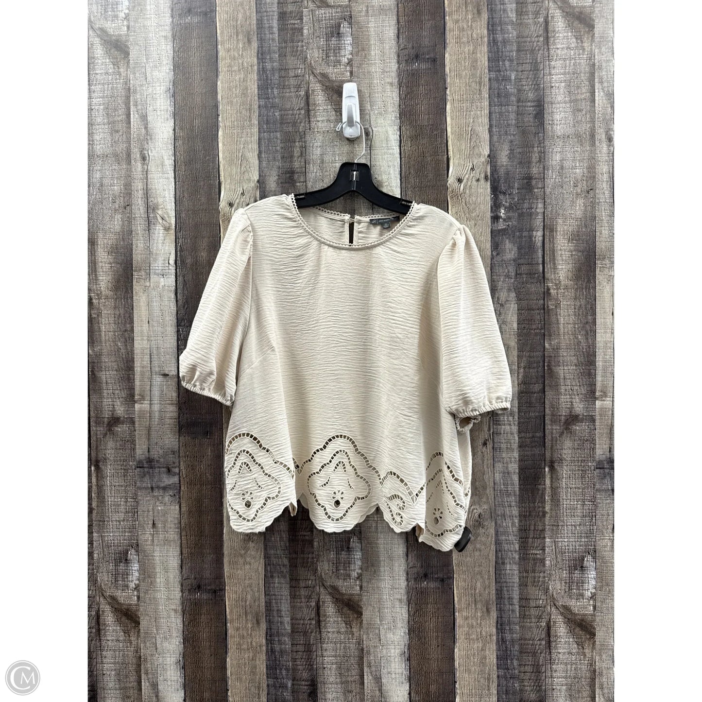 Top Short Sleeve By Adrianna Papell In Tan, Size: Xl