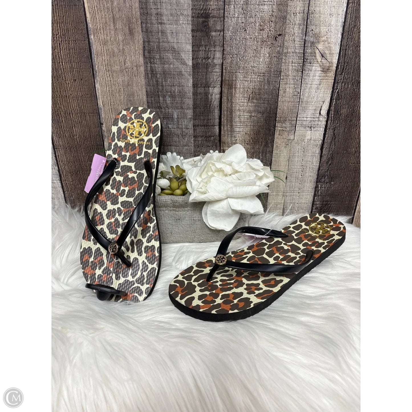 Sandals Designer By Tory Burch In Animal Print, Size: 11
