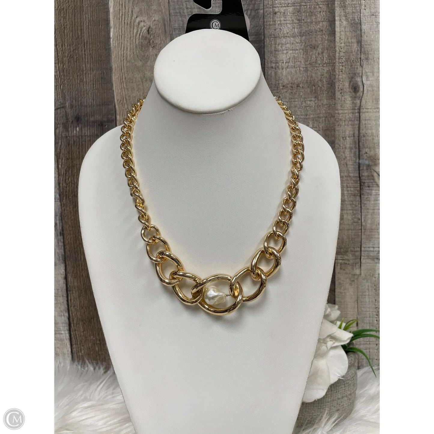 Necklace Chain By Express