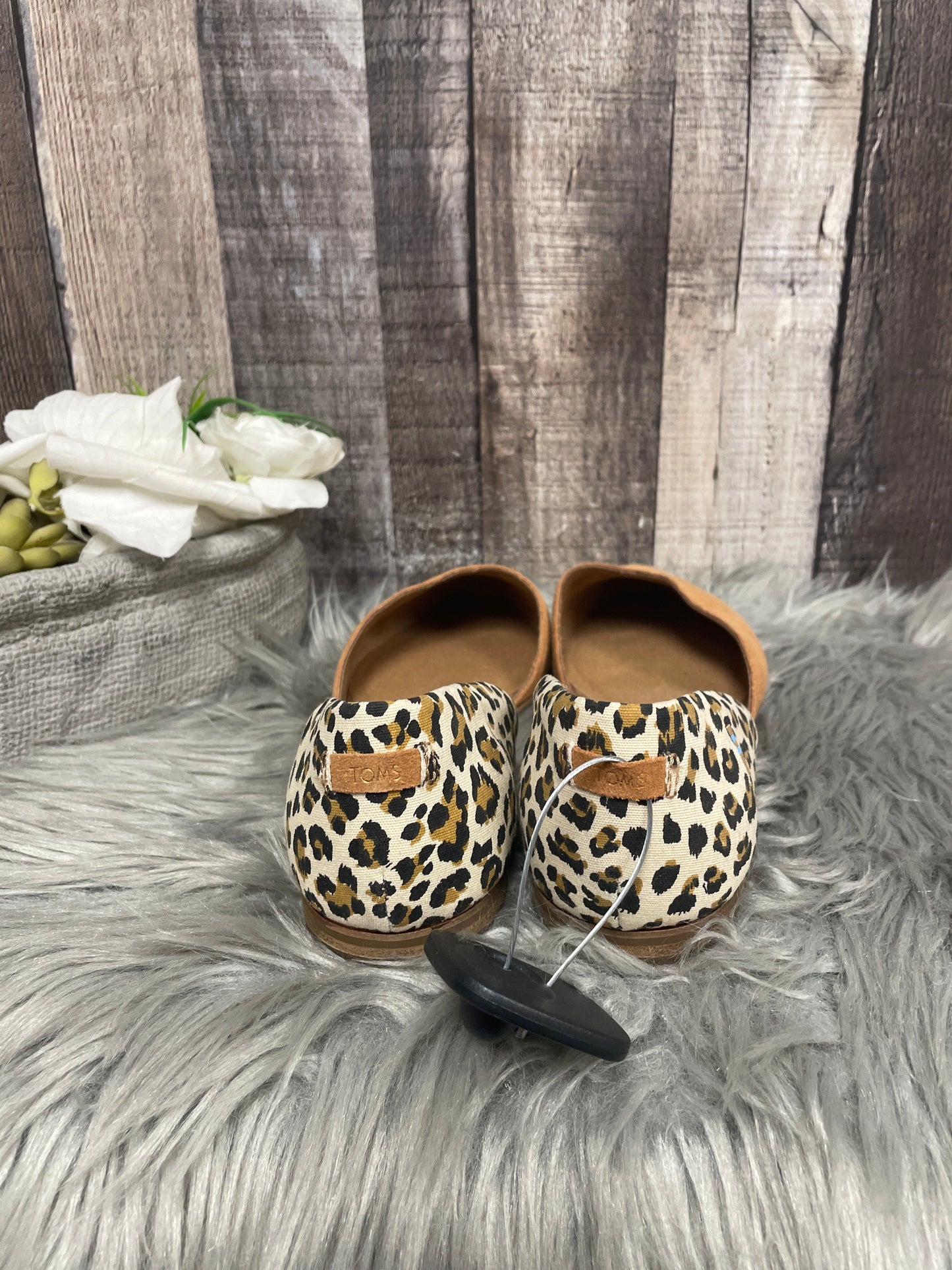 Shoes Flats By Toms In Animal Print, Size: 8.5