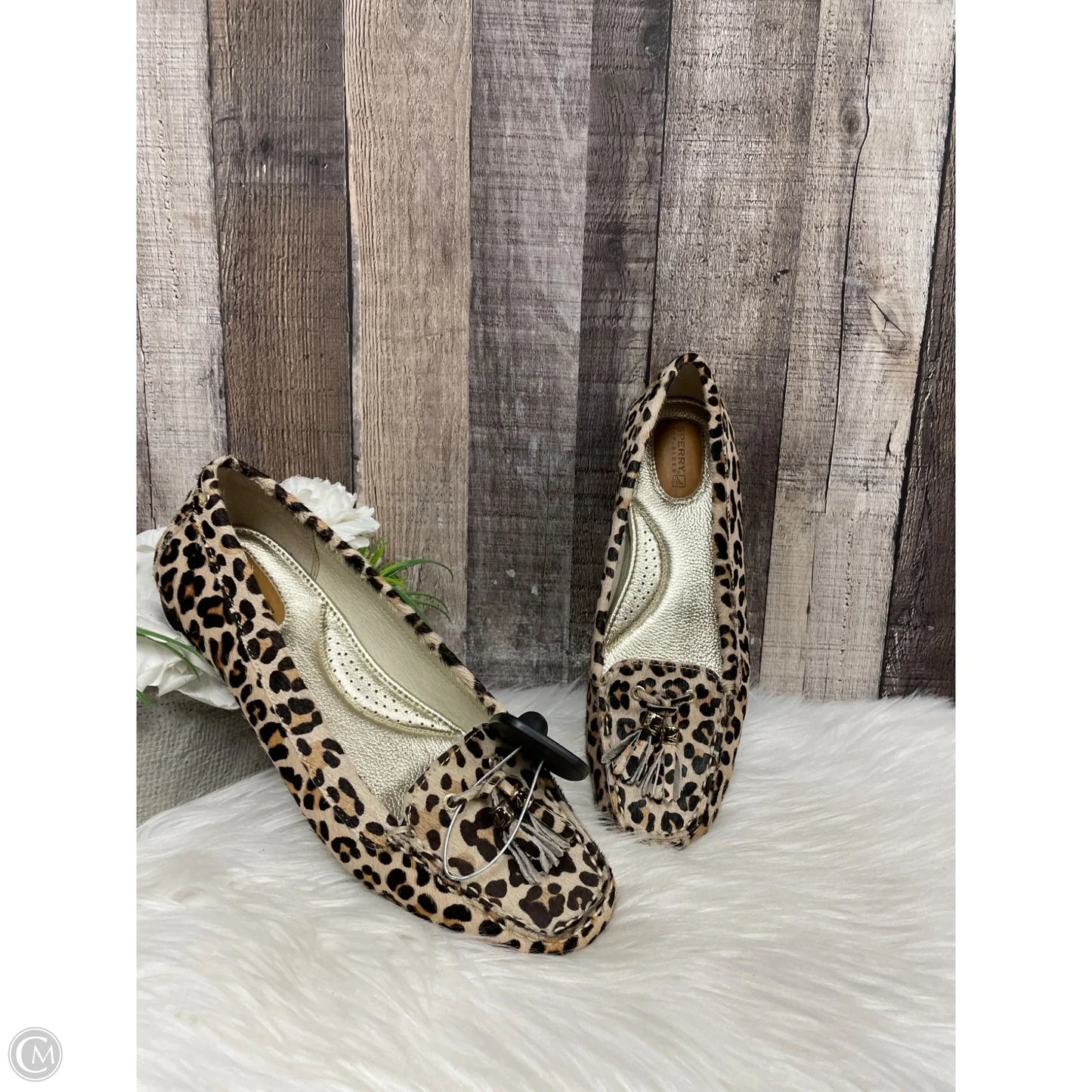 Shoes Flats By Sperry In Animal Print, Size: 9.5