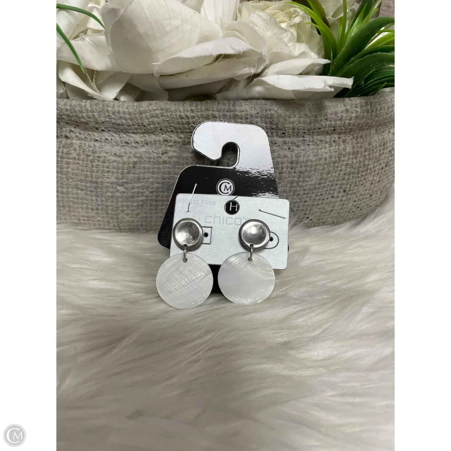 Earrings Dangle/drop By Chicos