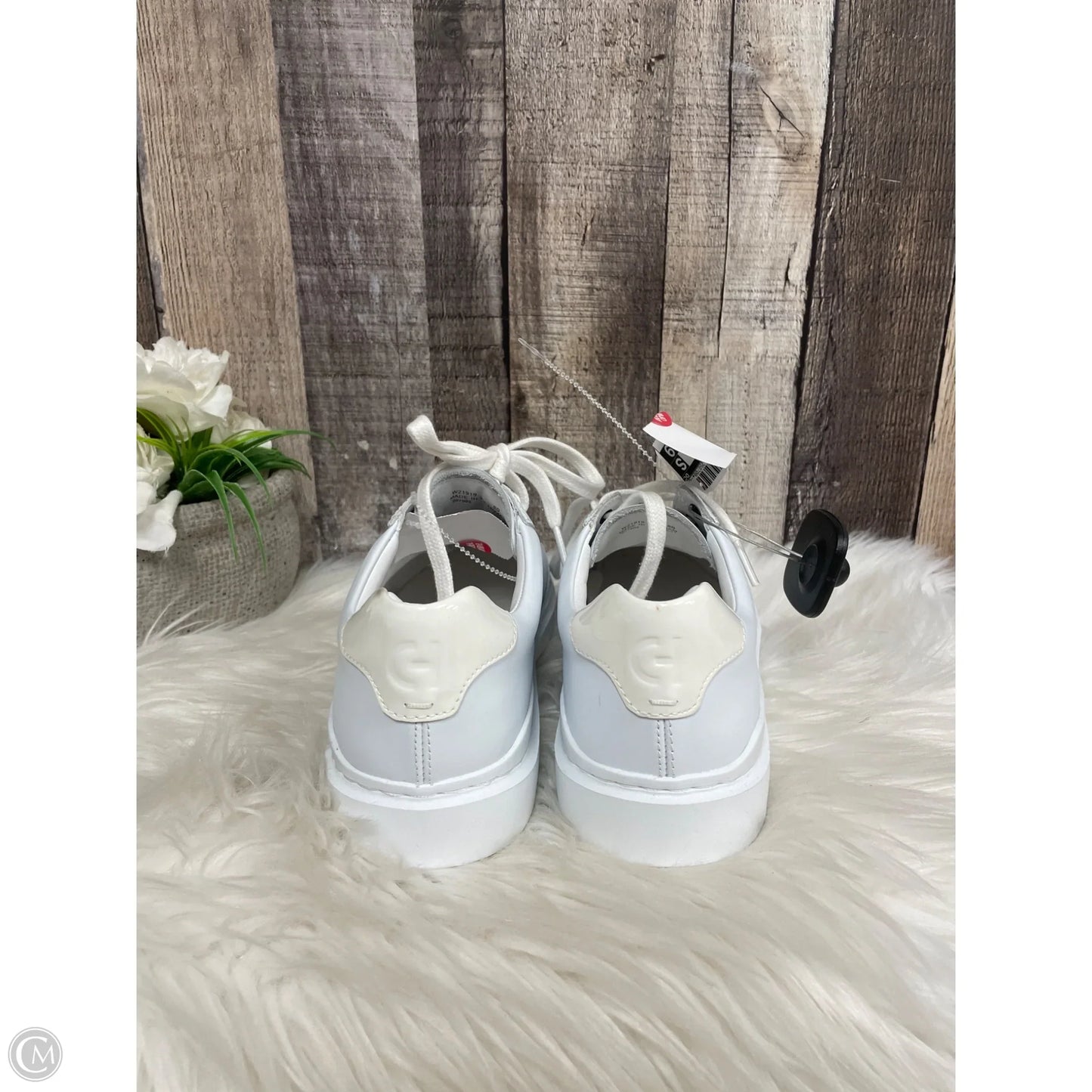 Shoes Sneakers By Cole-haan In White, Size: 8