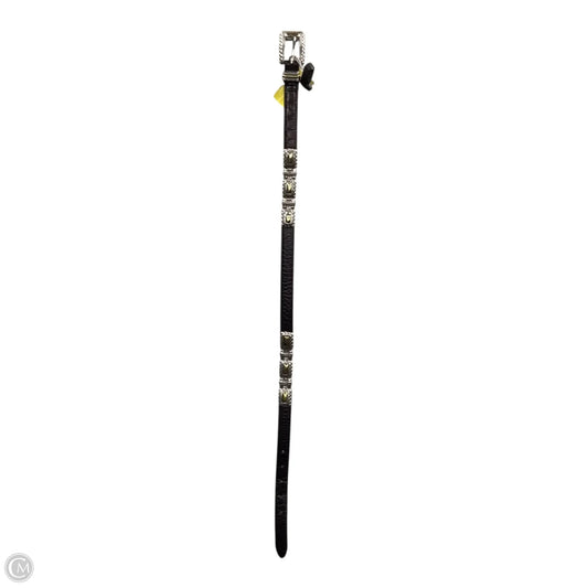 Belt By Brighton