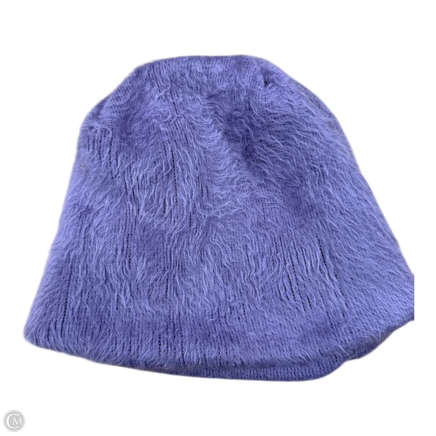Hat Beanie By Clothes Mentor