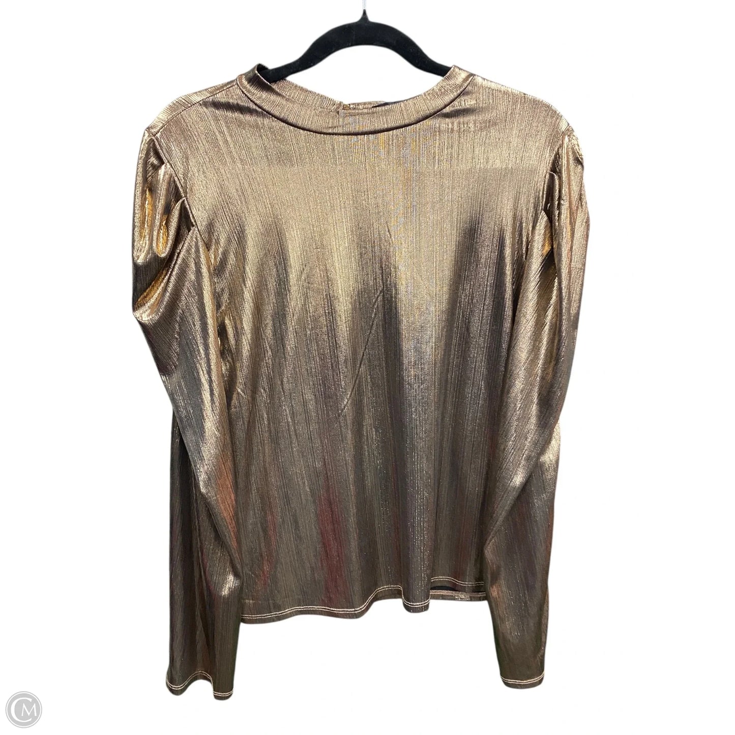 Blouse Long Sleeve By Alice Blue In Copper, Size: Xl