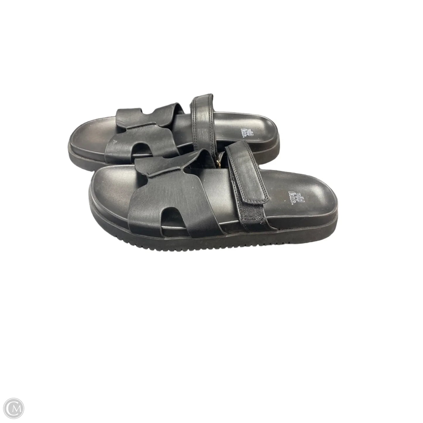 Sandals Flats By Wild Fable In Black, Size: 8