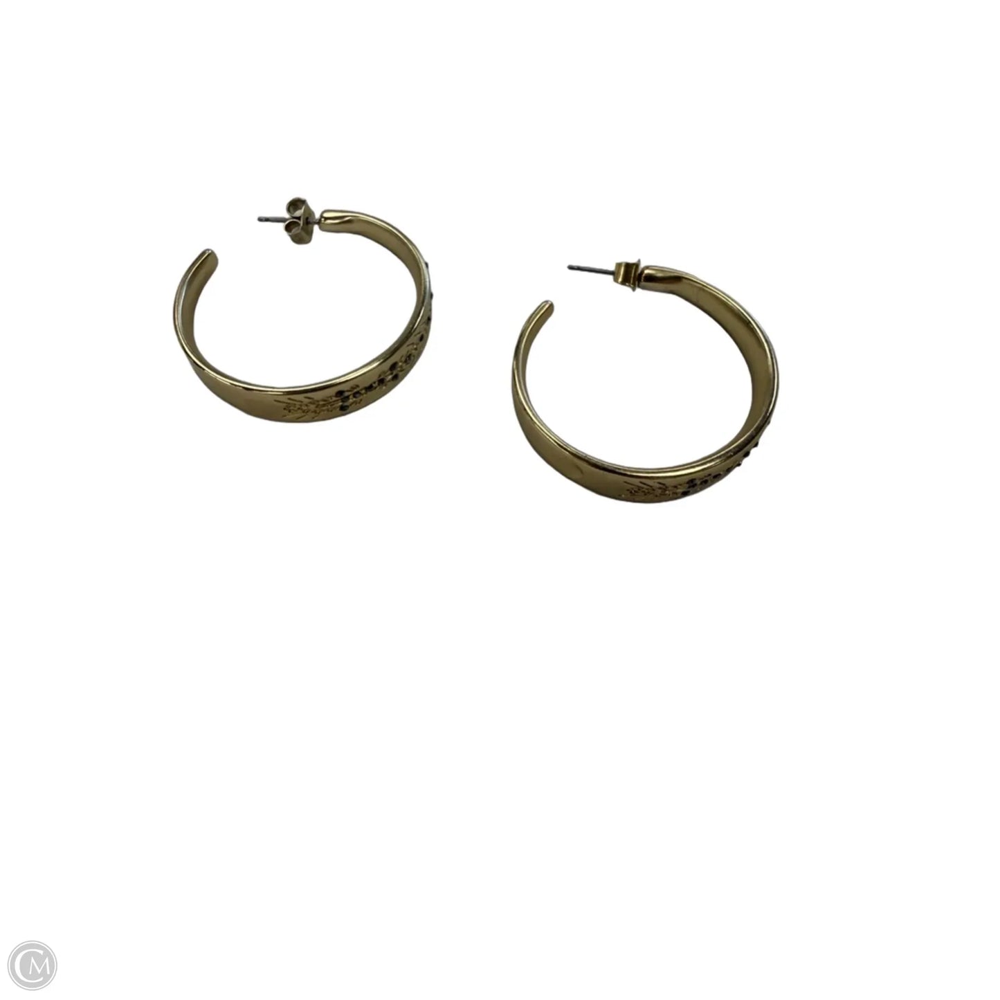 Earrings Hoop By Clothes Mentor