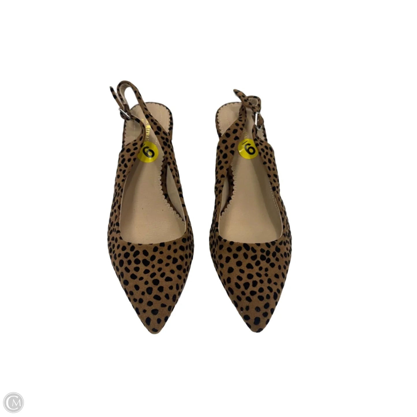 Shoes Heels Kitten By Isaac Mizrahi In Animal Print, Size: 9