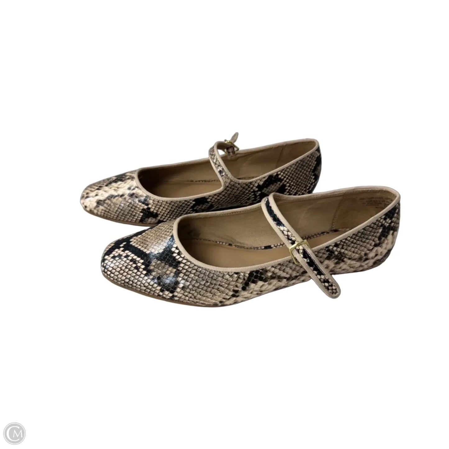 Shoes Flats By Time And Tru In Snakeskin Print, Size: 9.5