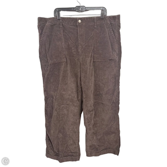 Pants Corduroy By Sonoma In Brown, Size: 2x
