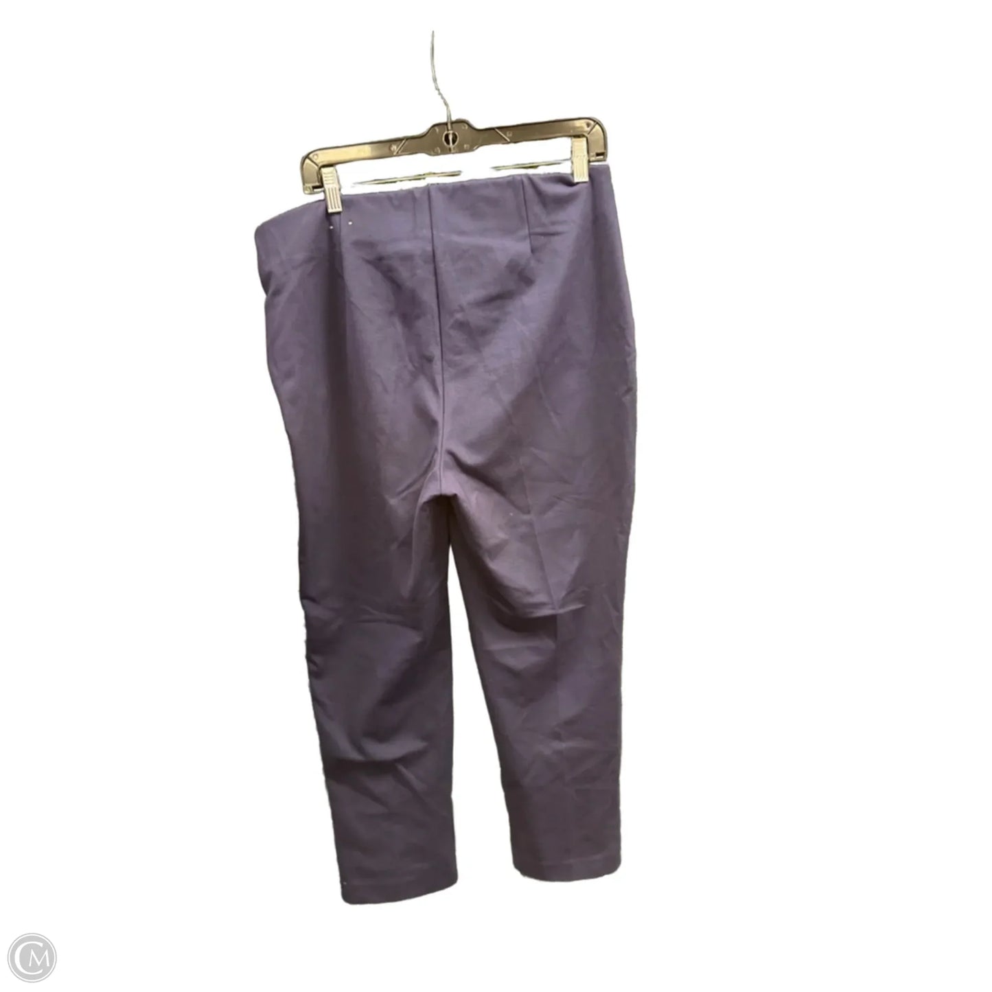 Pants Other By Chicos In Navy, Size: L