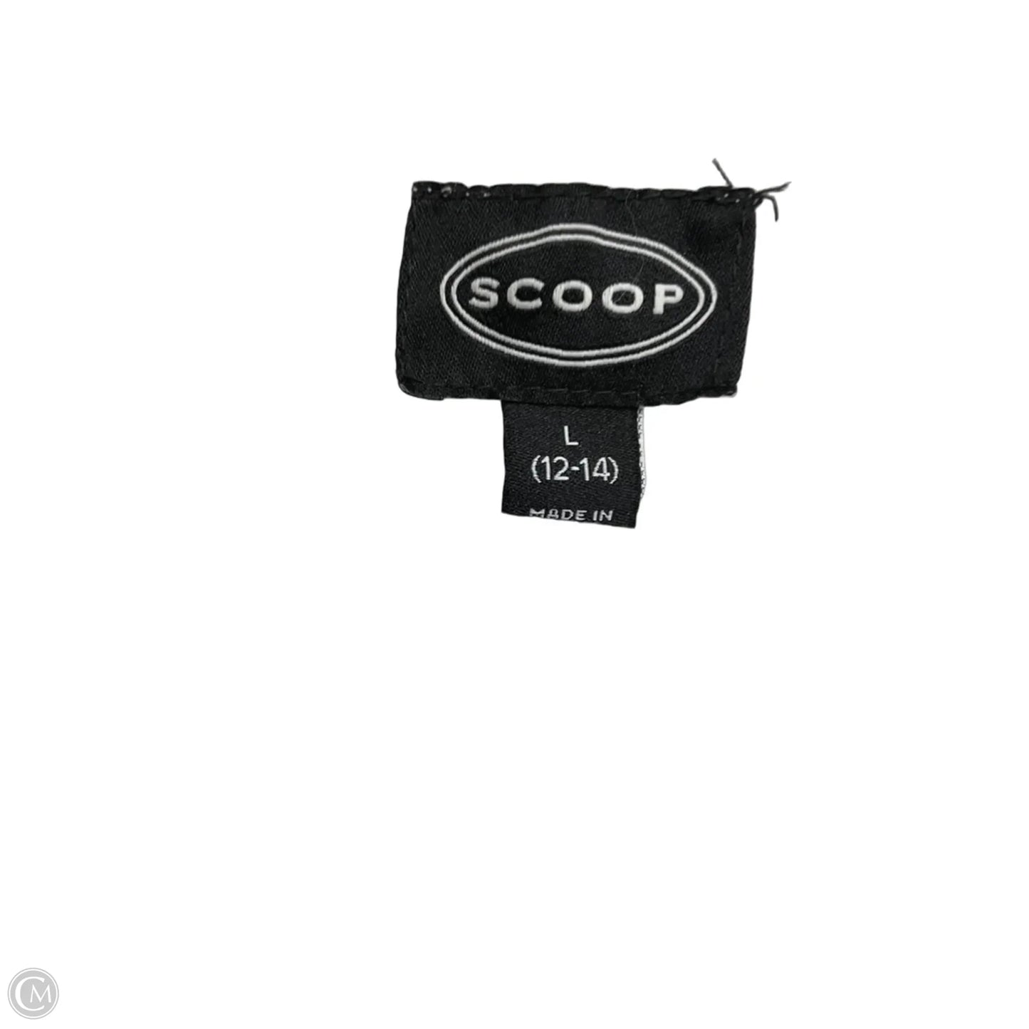 Dress Casual Short By Scoop In White, Size: L