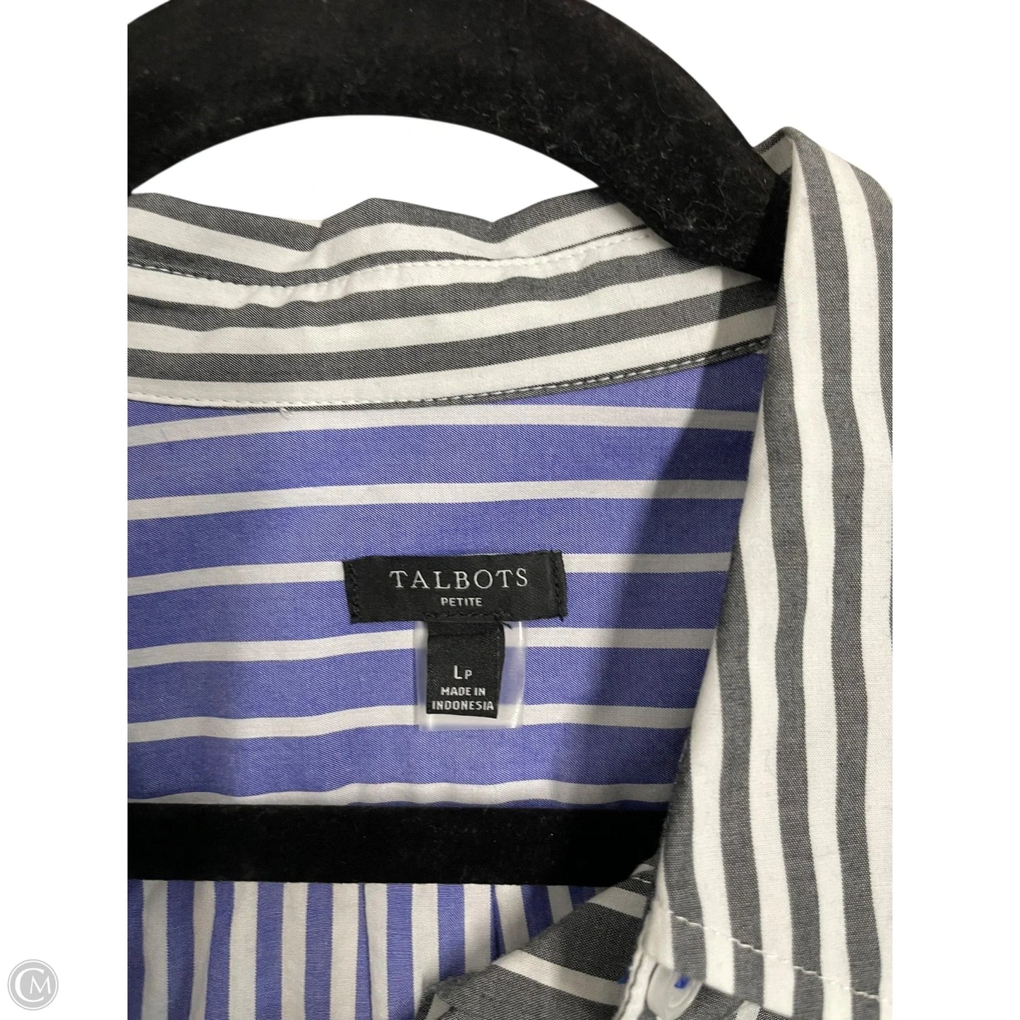 Blouse Long Sleeve By Talbots In Striped Pattern, Size: Lp