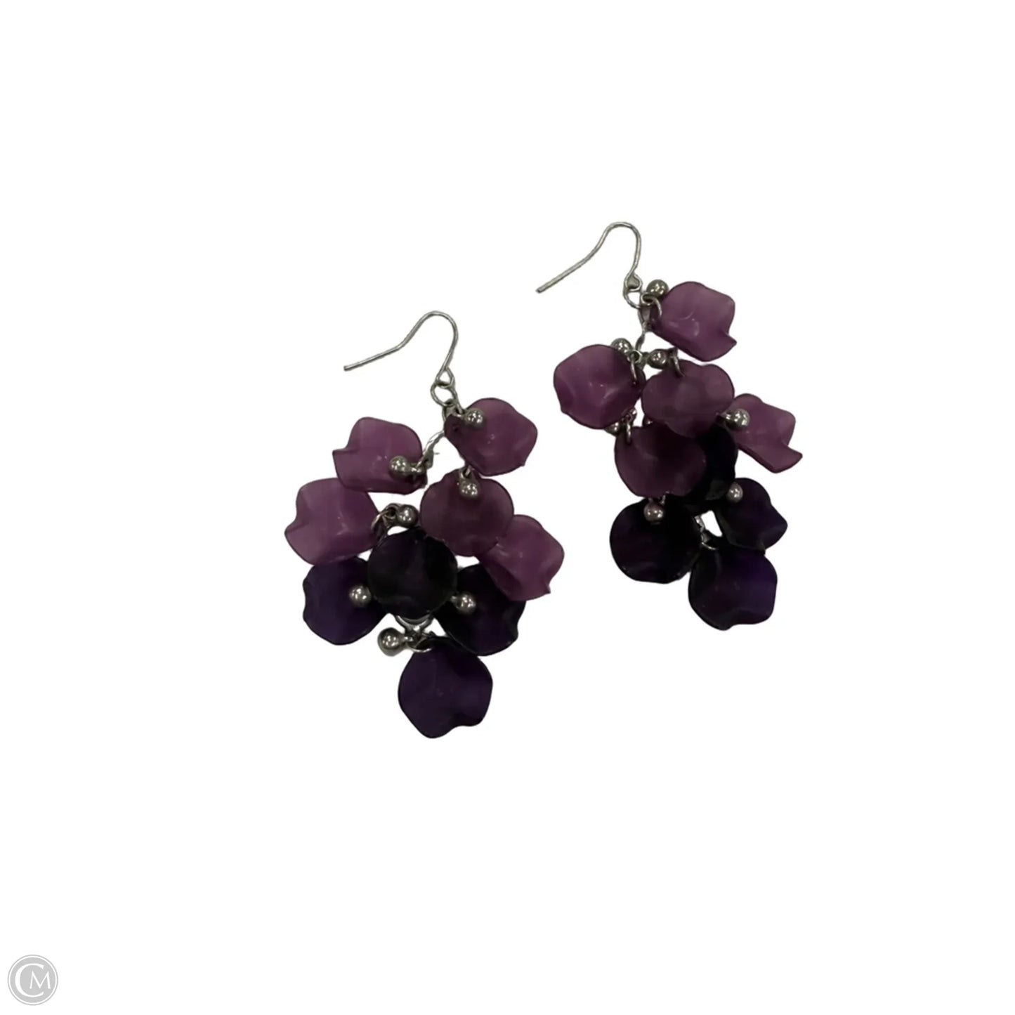 Earrings Dangle/drop By Clothes Mentor