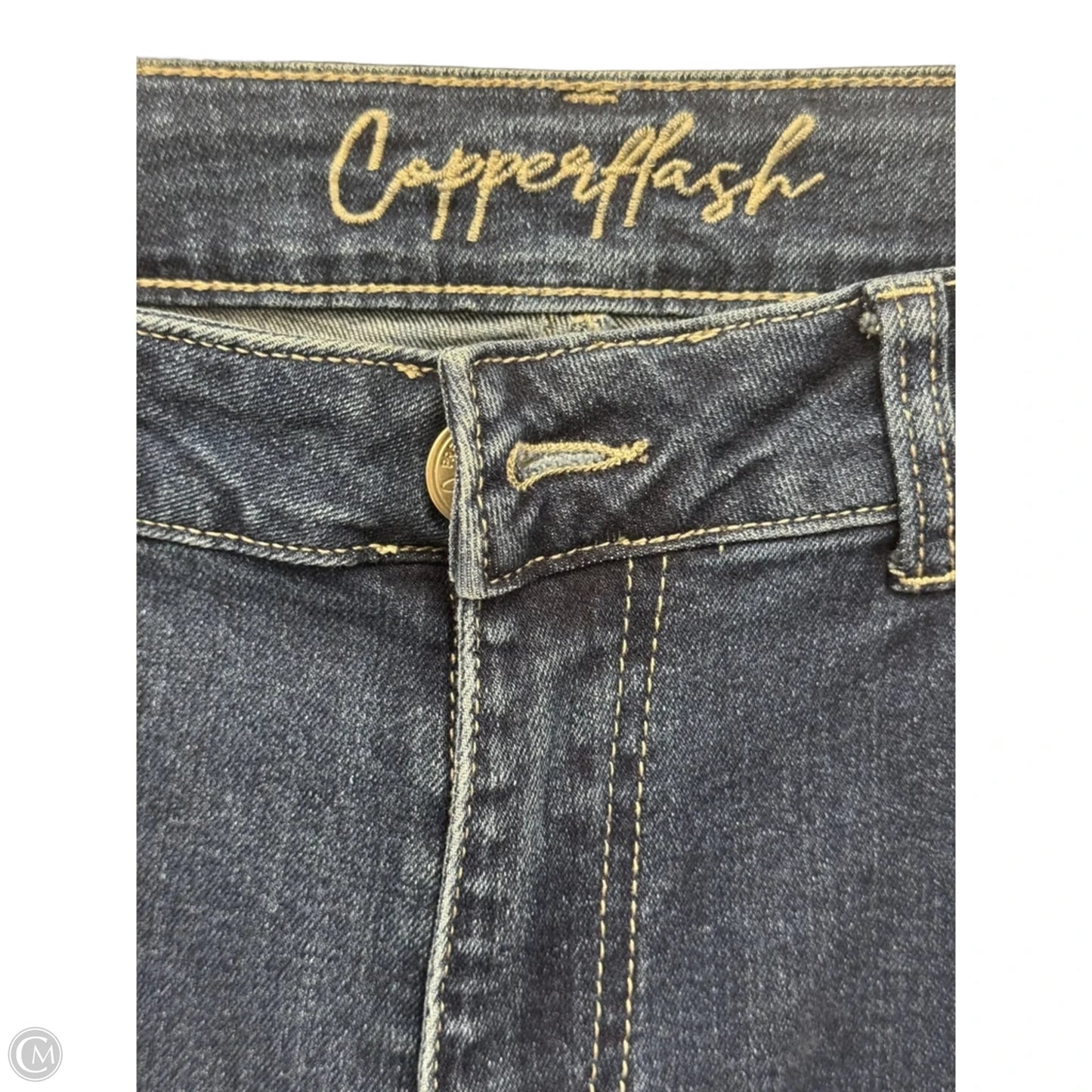 Jeans Skinny By Clothes Mentor In Blue & Silver, Size: 10