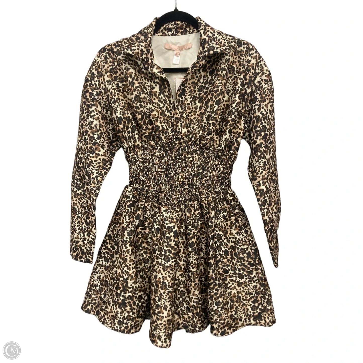 Dress Casual Short By Hutch In Brown & Cream, Size: Xs