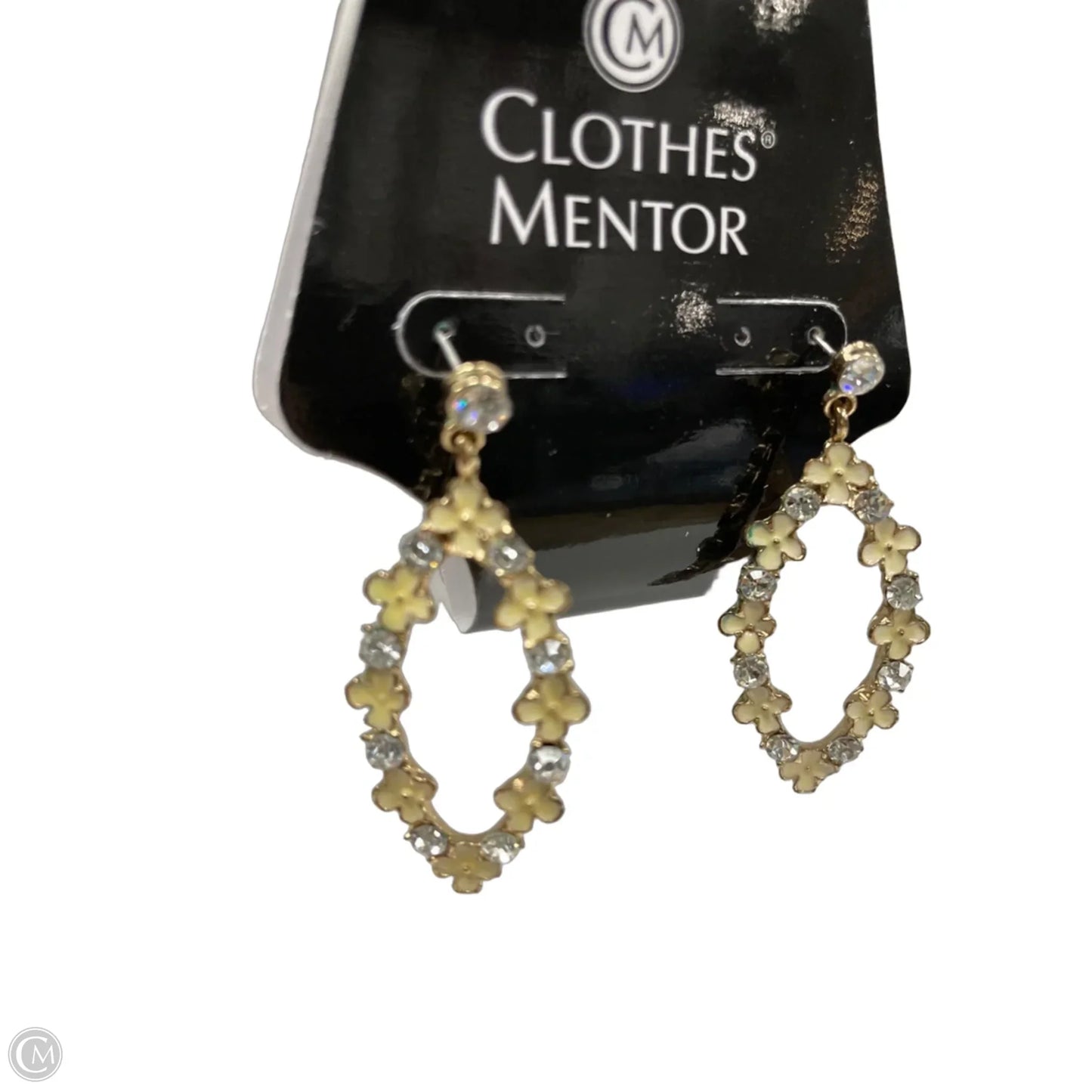 Earrings Dangle/drop By Clothes Mentor