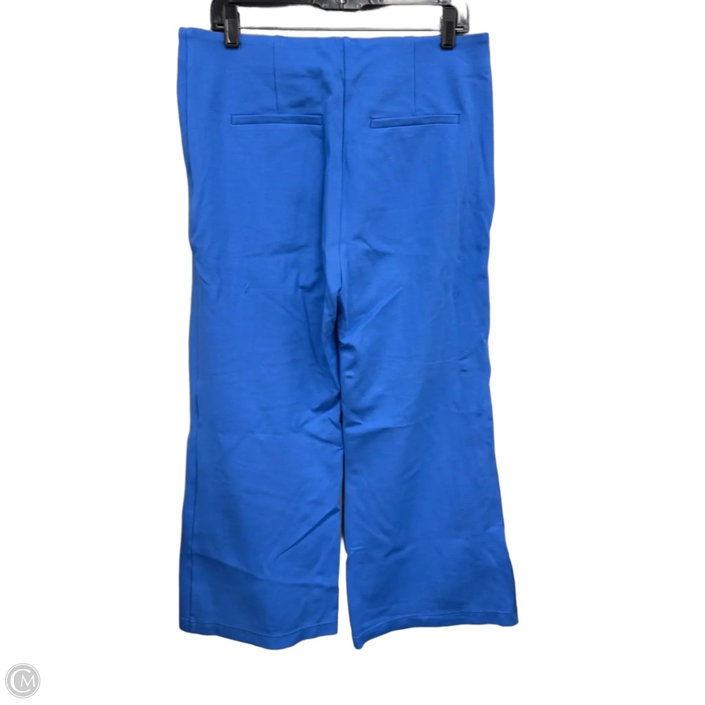Pants Other By Loft In Blue, Size: L