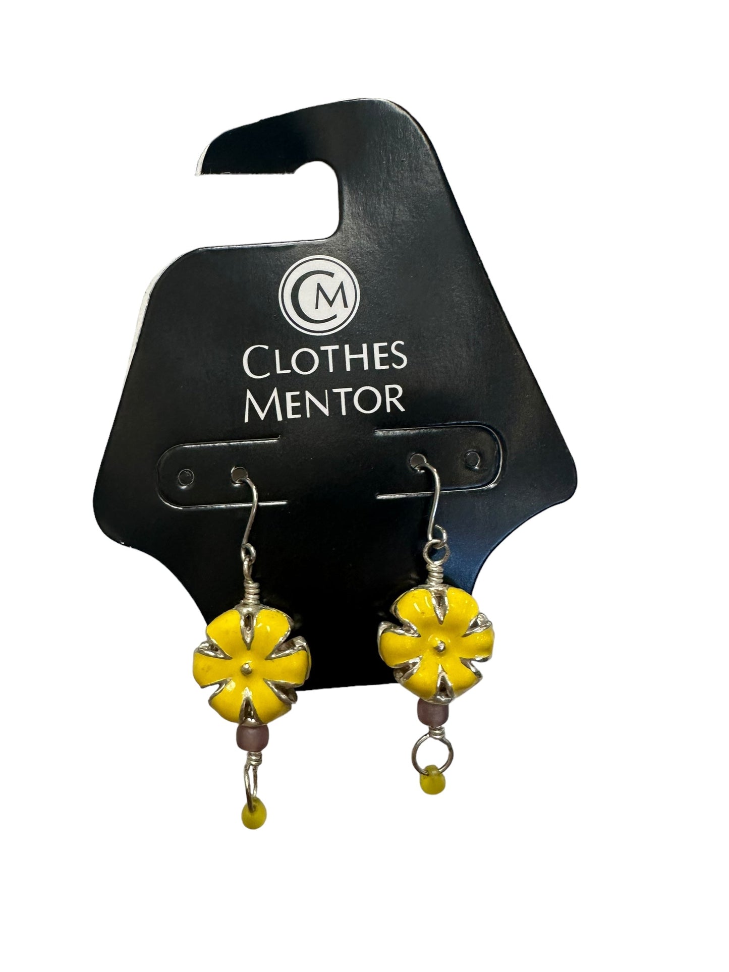 Earrings Other Clothes Mentor