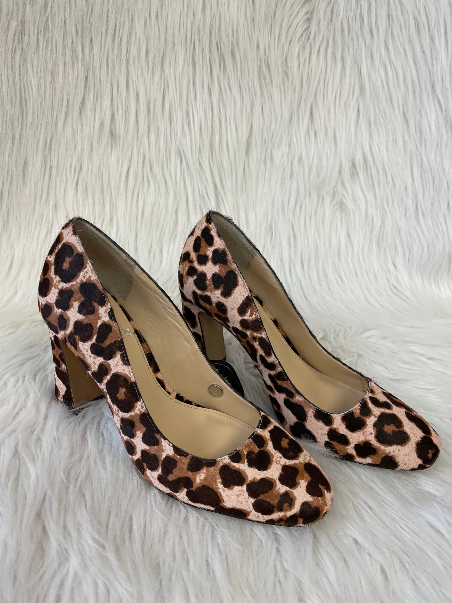 Shoes Heels Block By Vince Camuto In Animal Print, Size: 6.5