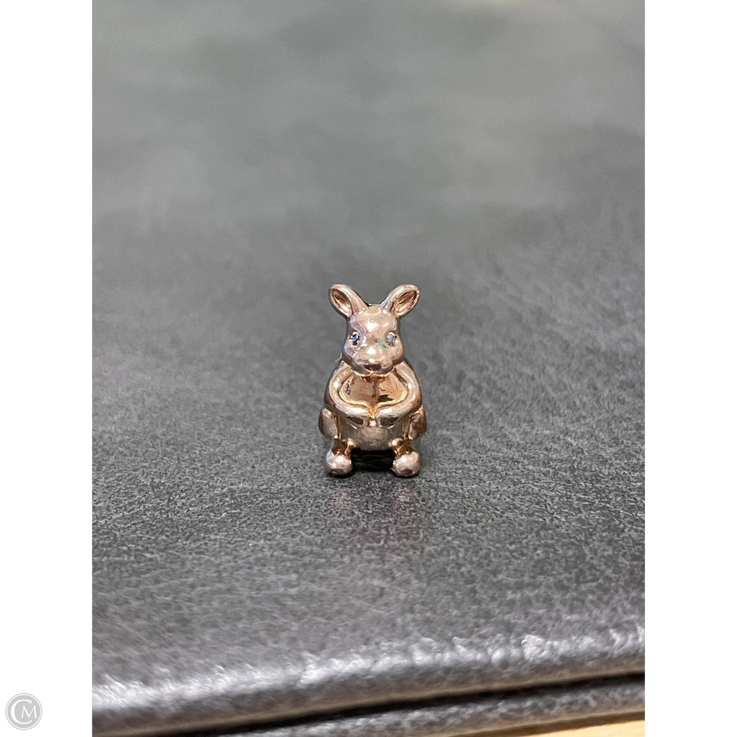 Jewelry Charm By Pandora