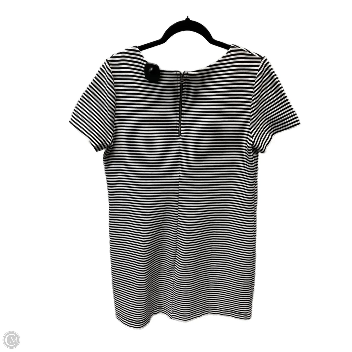 Dress Casual Short By Splendid In Striped Pattern, Size: L