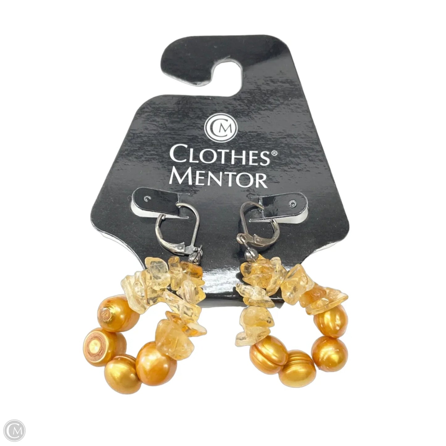 Earrings Dangle/drop By Clothes Mentor