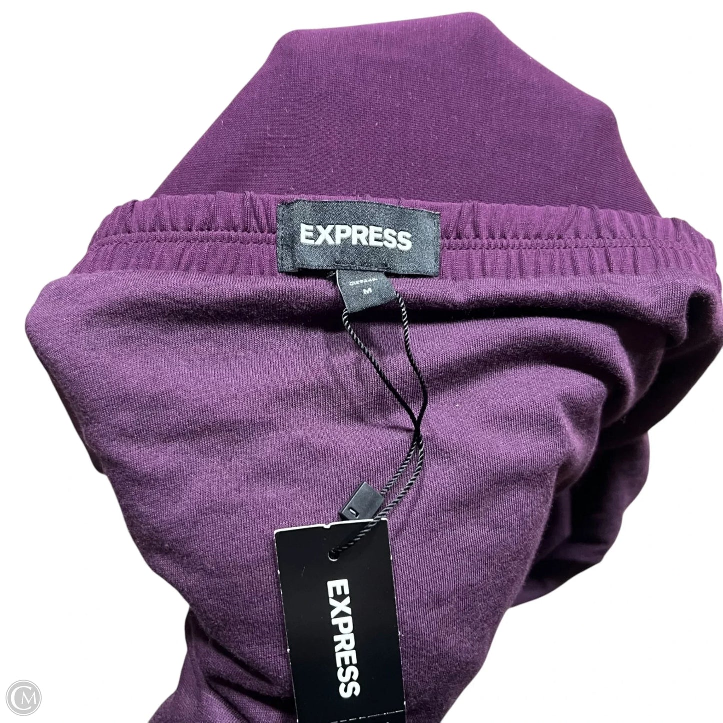 Skirt Maxi By Express In Purple, Size: 8