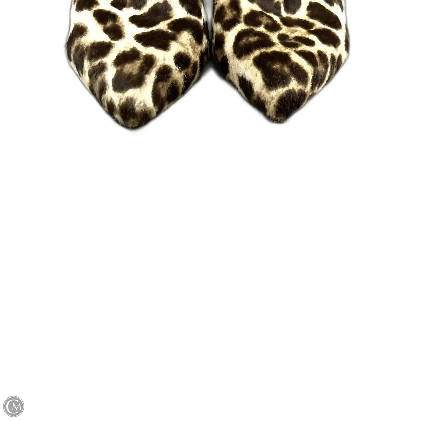 Boots Luxury Designer By Alexander Wang In Leopard Print, Size: 6.5