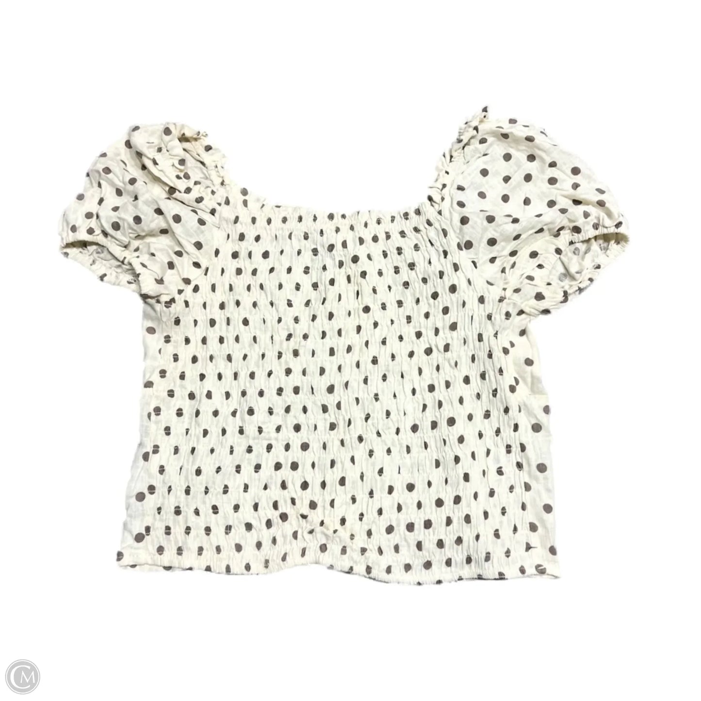 Top Short Sleeve By Monteau In Brown & Cream, Size: Xl